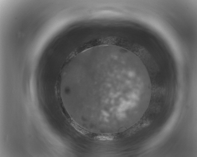 X0000080730765200612221253