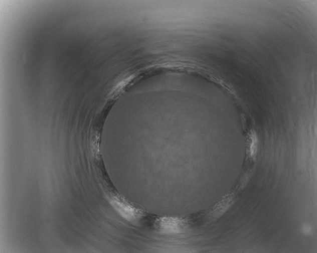 X0000080730766200612221253