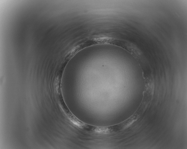 X0000080730767200612221253