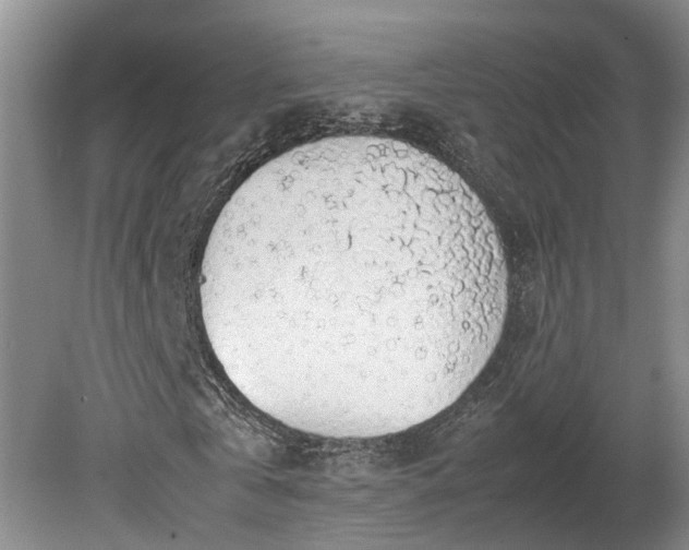 X0000080730769200612221252