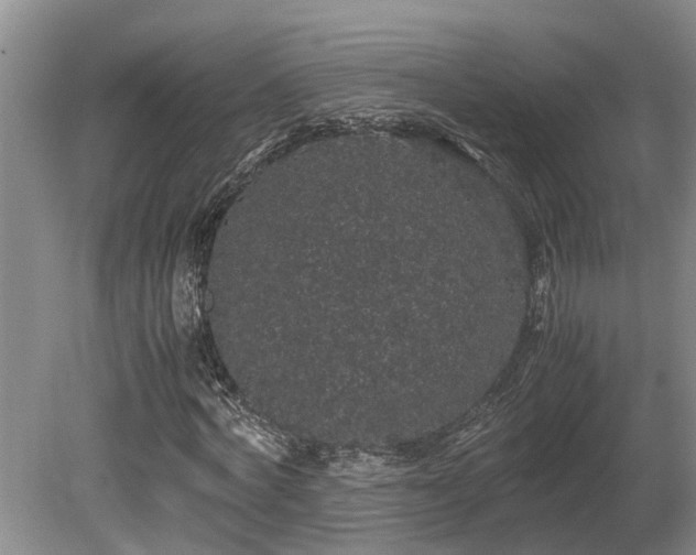 X0000080730772200612221252