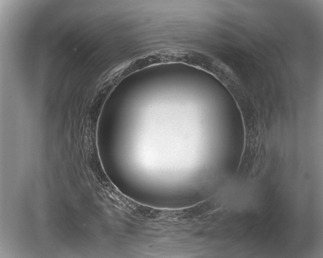 X0000080730773200612221252