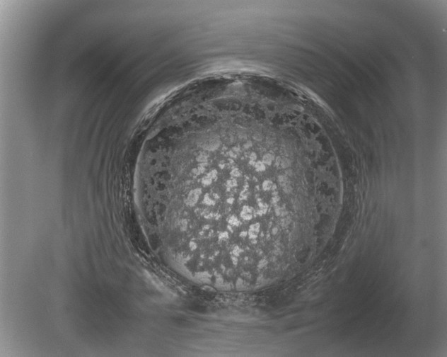 X0000080730775200612221252