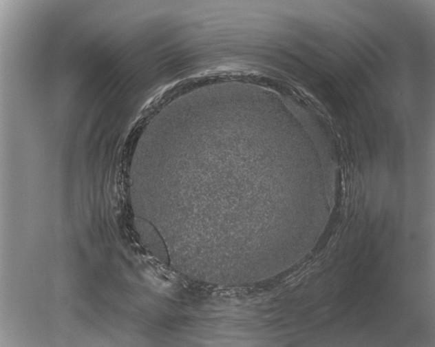 X0000080730776200612221252