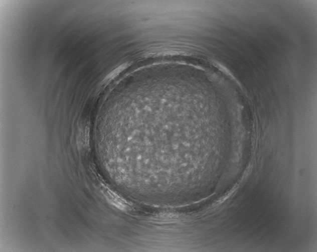 X0000080730777200612221252