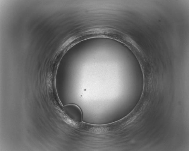 X0000080730778200612221252