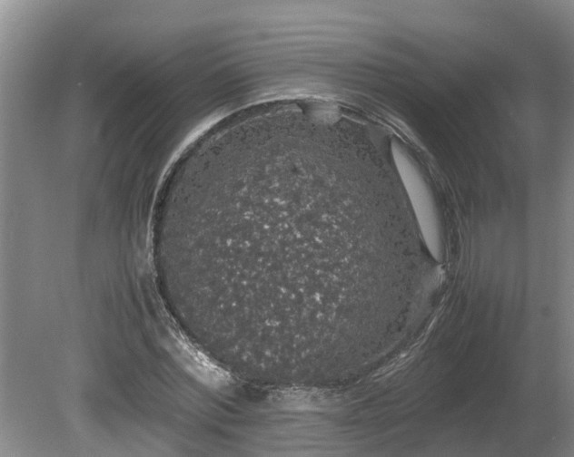 X0000080730780200612221252