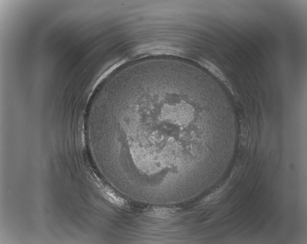 X0000080730782200612221252