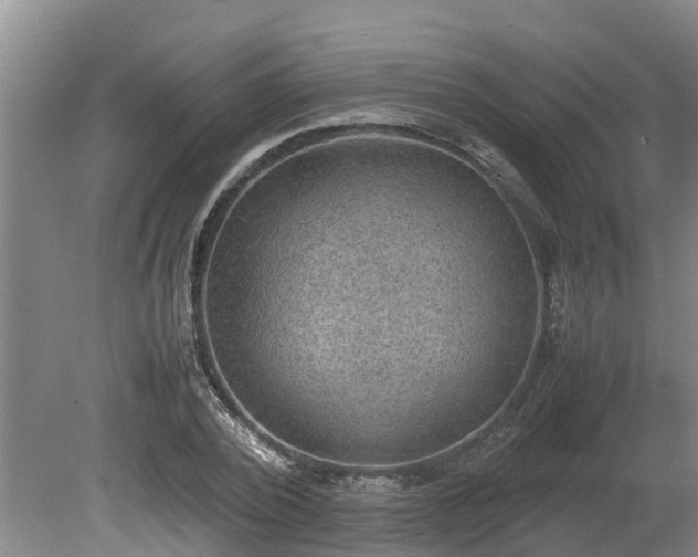 X0000080730784200612221252