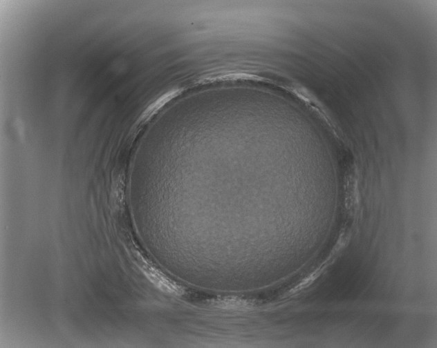 X0000080730785200612221252