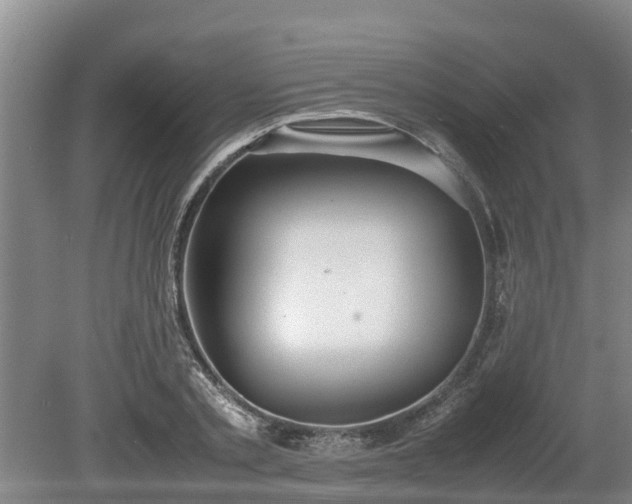 X0000080730789200612221252