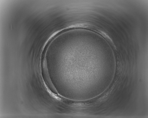 X0000080730792200612221251