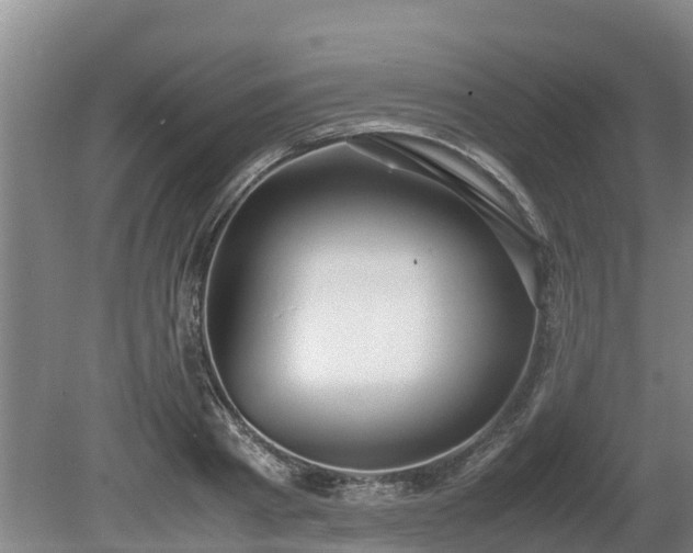 X0000080730793200612221251