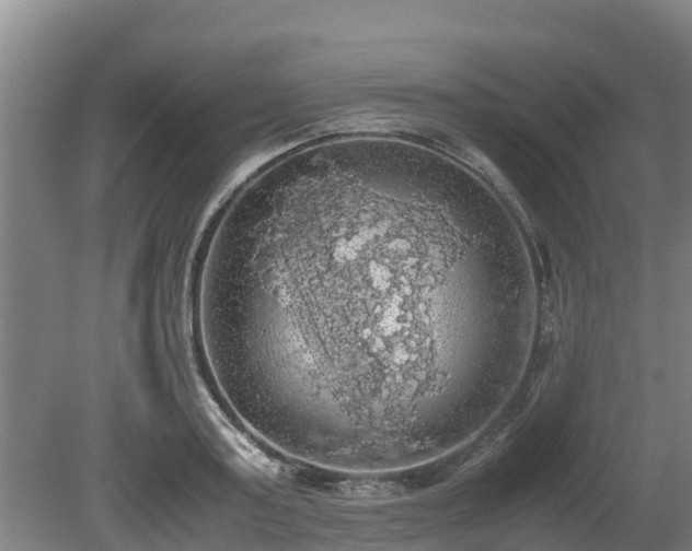 X0000080730795200612221251