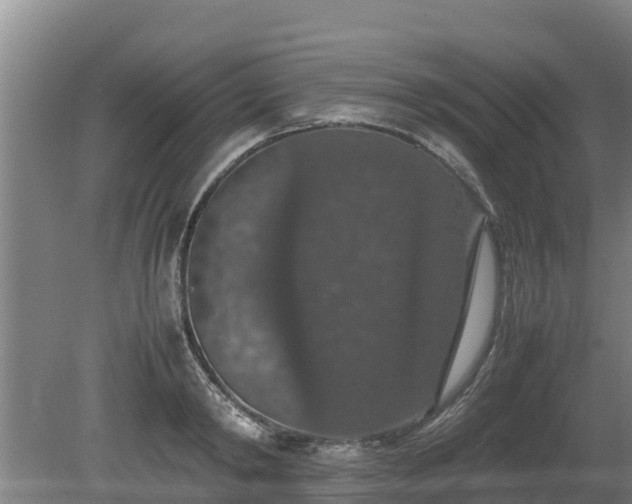 X0000080730798200612221251