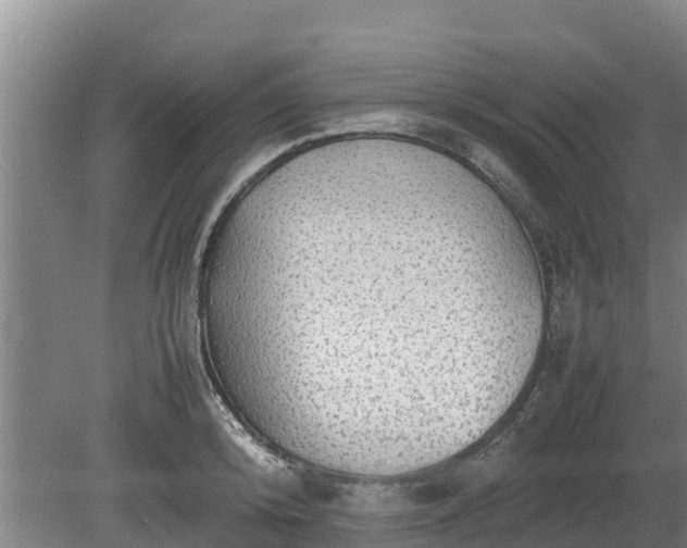 X0000080730800200612221251