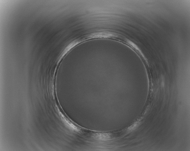 X0000080730802200612221251