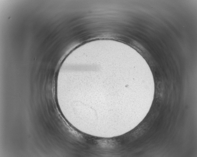 X0000080730804200612221251