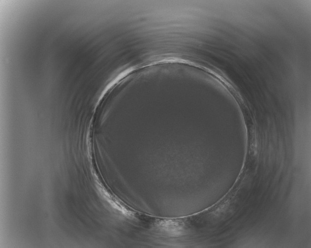 X0000080730806200612221251