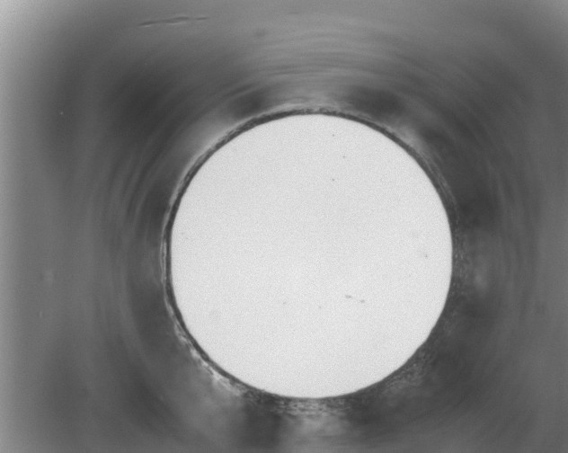 X0000080730807200612221251