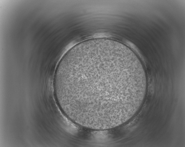 X0000080730810200612221251