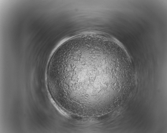 X0000080730811200612221251