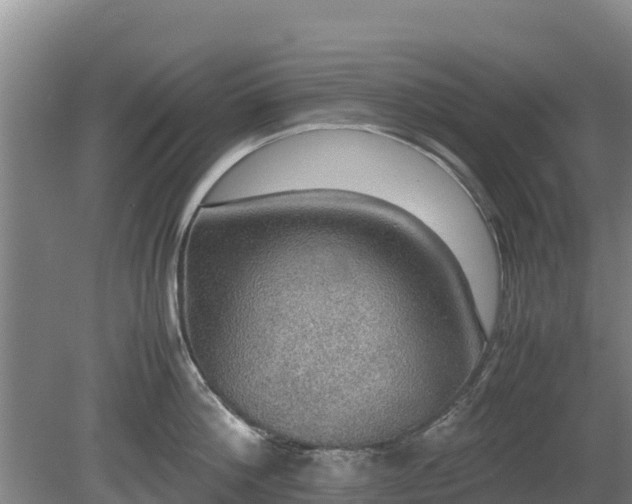 X0000080730812200612221251