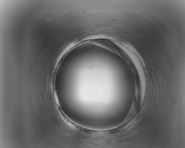 X0000080730813200612221251