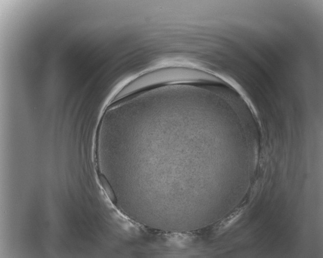 X0000080730815200612221251