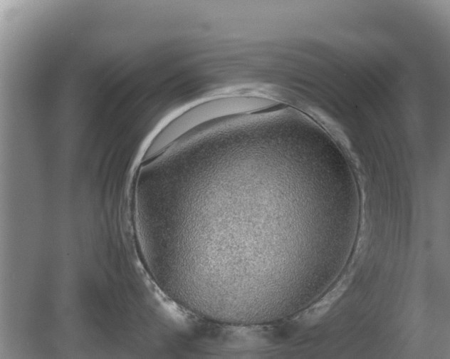 X0000080730816200612221251