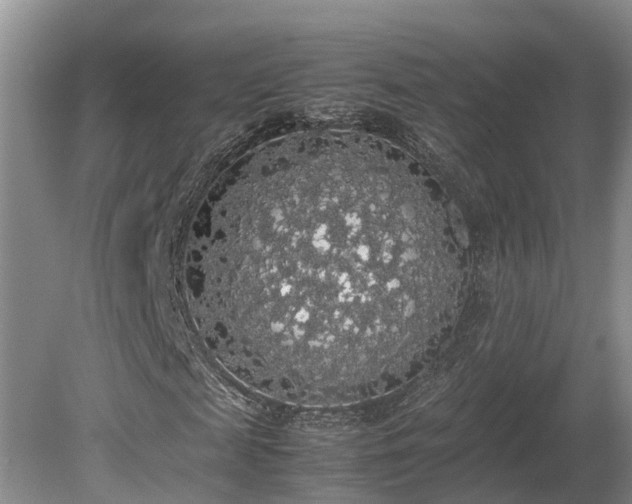 X0000080730817200612221250