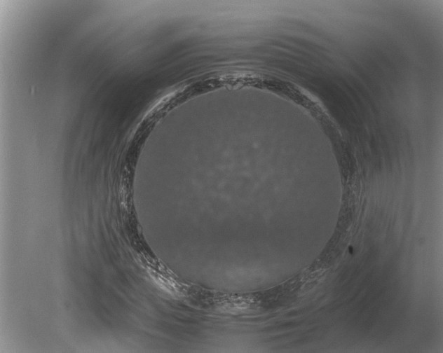 X0000080730823200612221250