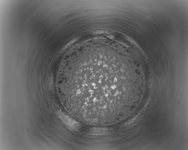 X0000080730825200612221250