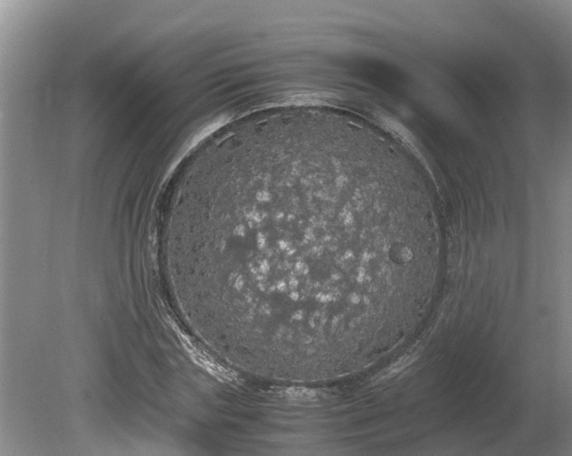 X0000080730827200612221250