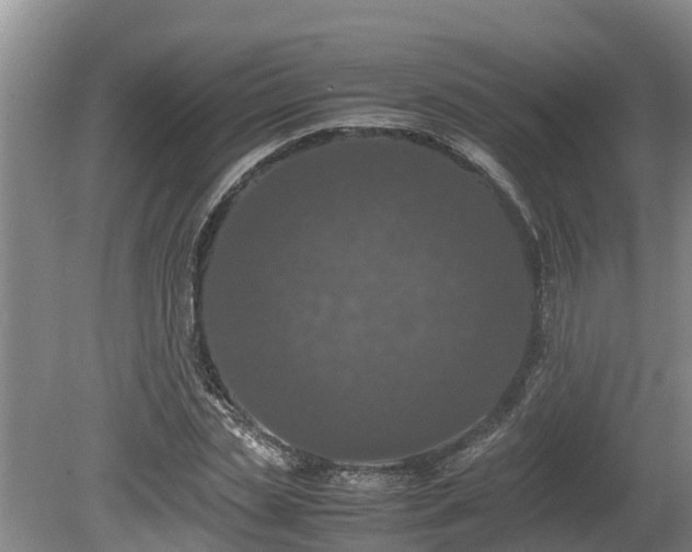 X0000080730829200612221250