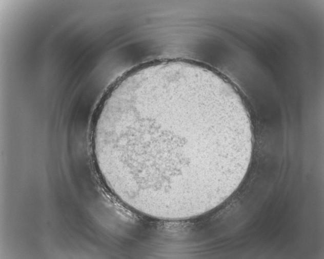 X0000080730832200612221251