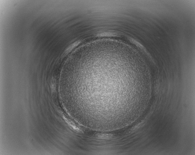 X0000080730833200612221251