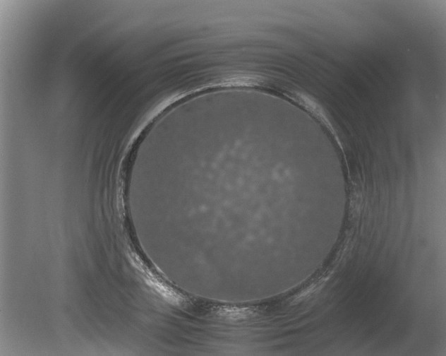 X0000080730835200612221251