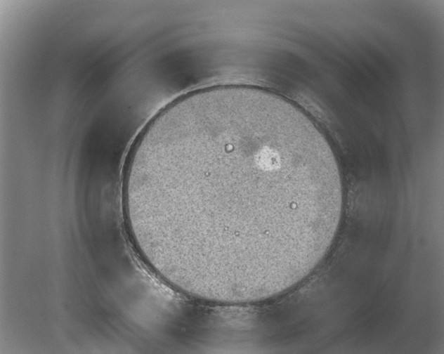 X0000080730836200612221251