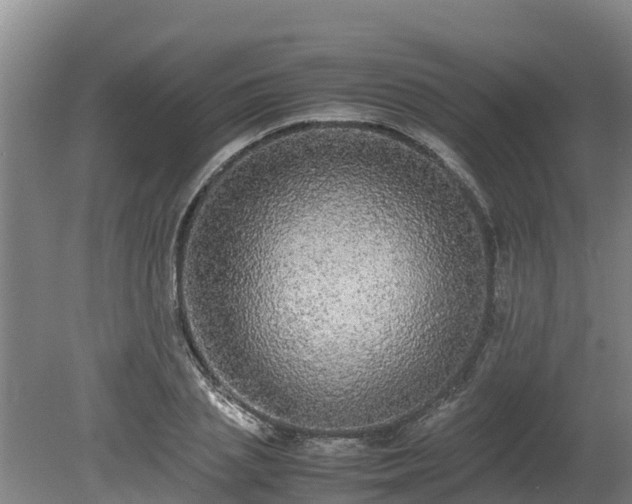 X0000080730837200612221251