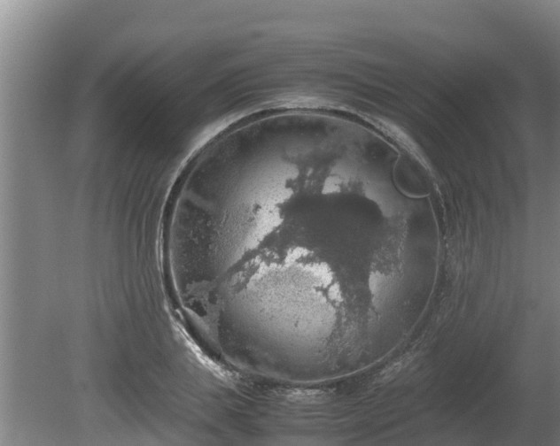 X0000080730839200612221251