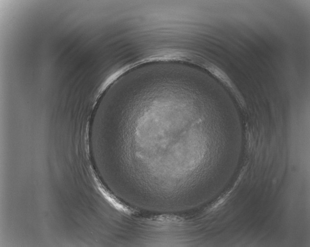 X0000080730842200612221251