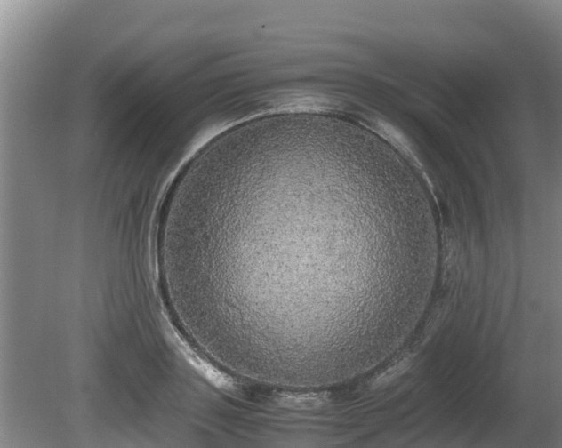 X0000080730843200612221251