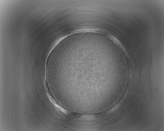 X0000080730844200612221251