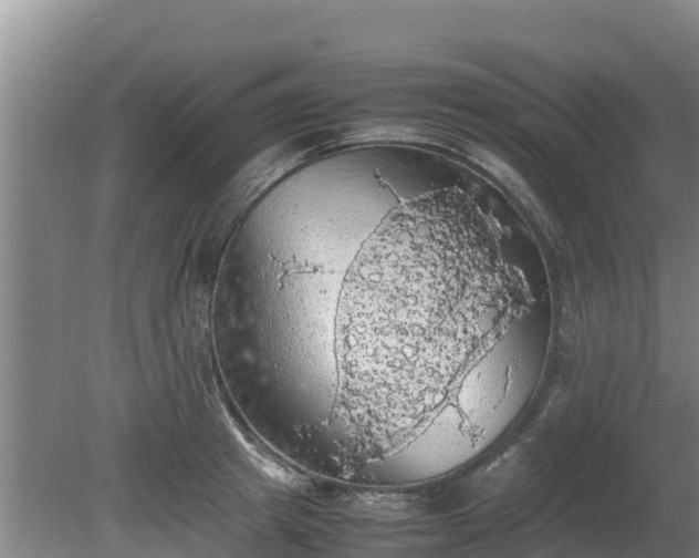 X0000080730849200612221251