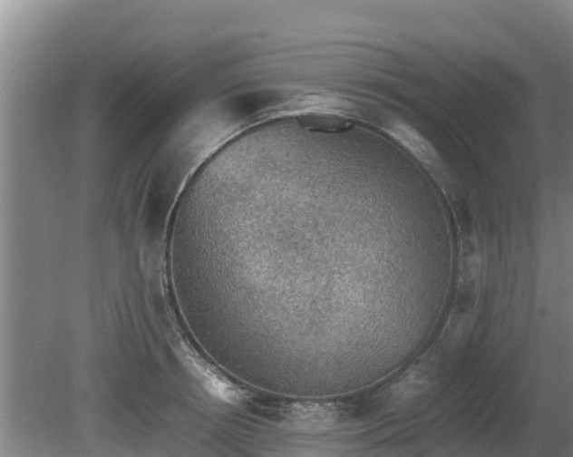 X0000080730850200612221251