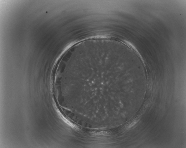 X0000080730851200612221251