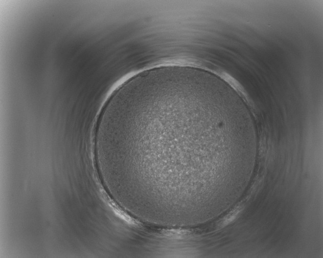 X0000080730854200612221251