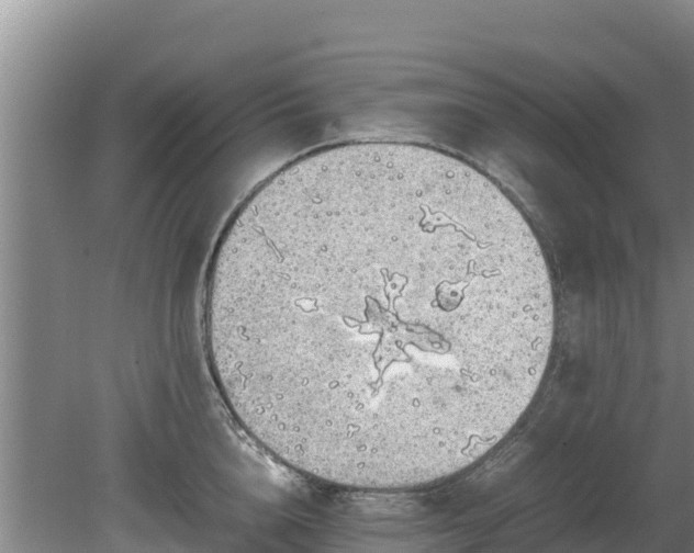 X0000080730856200612221251