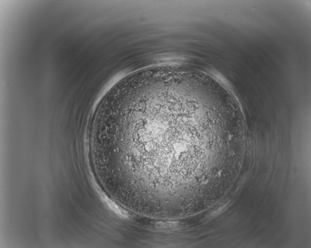 X0000080730859200612221251